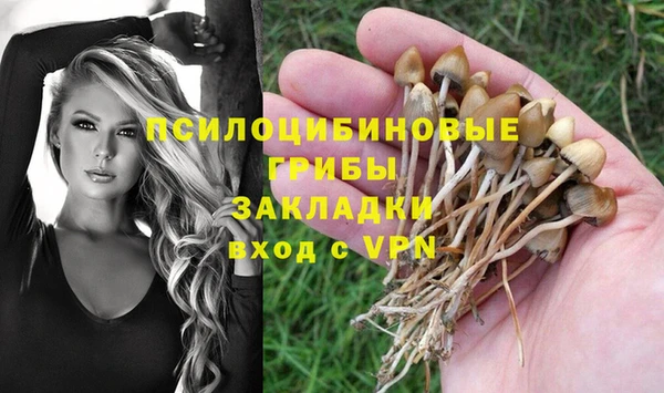 бутират Магадан